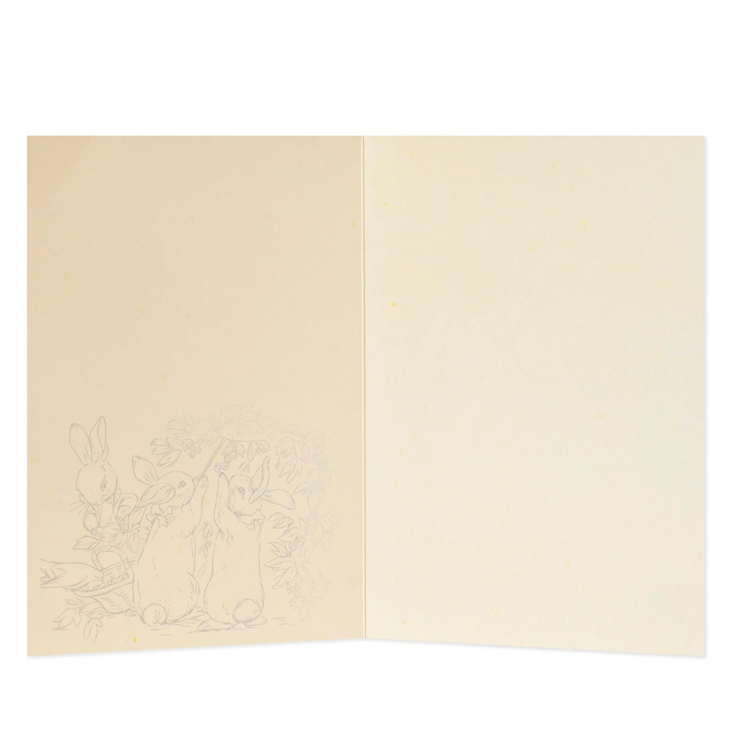 Hallmark Large Gift Bag & Card Bundle - Peter Rabbit - Image 3