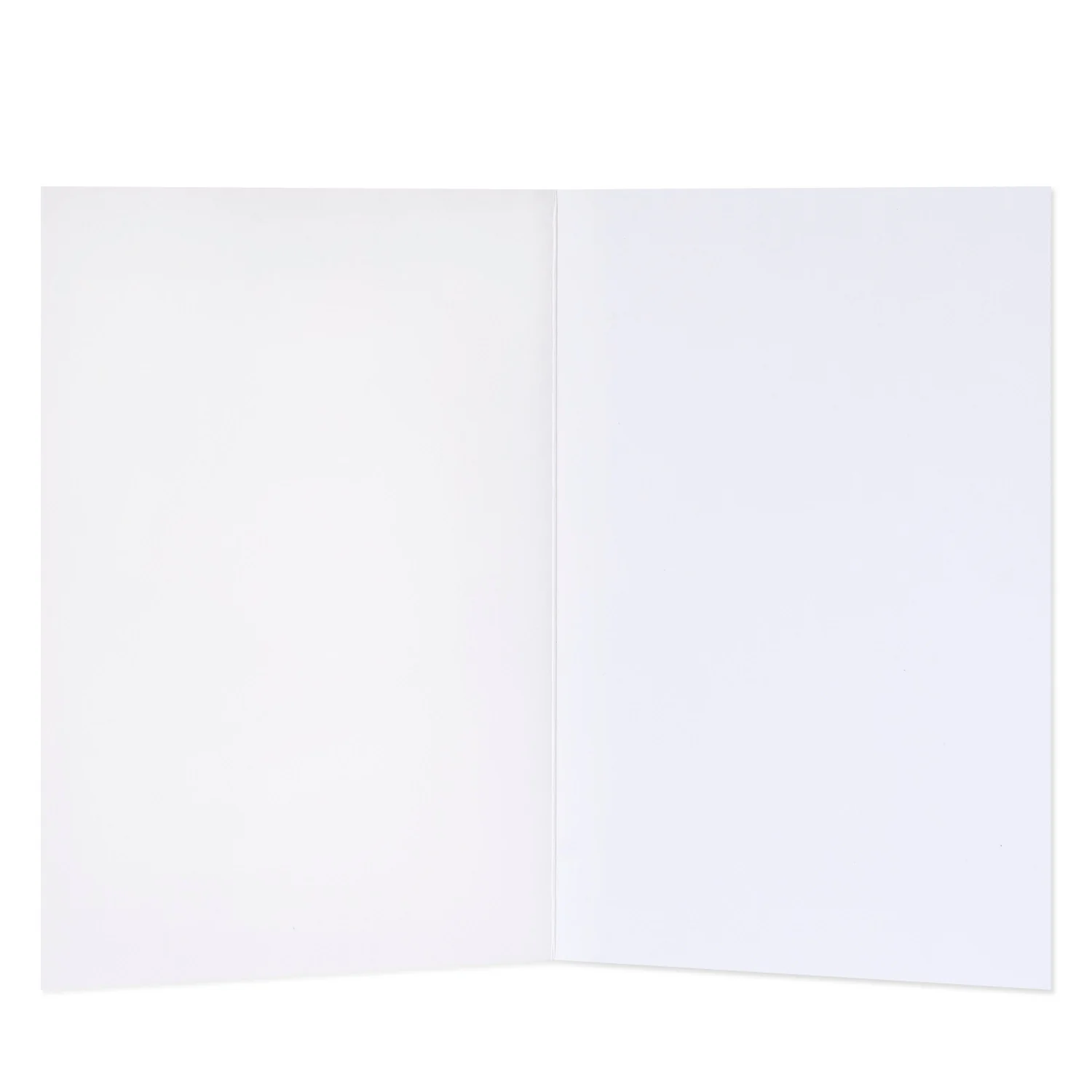 Hallmark Ozzy Oddities Congratulations Card - Cat & Dog - Image 2