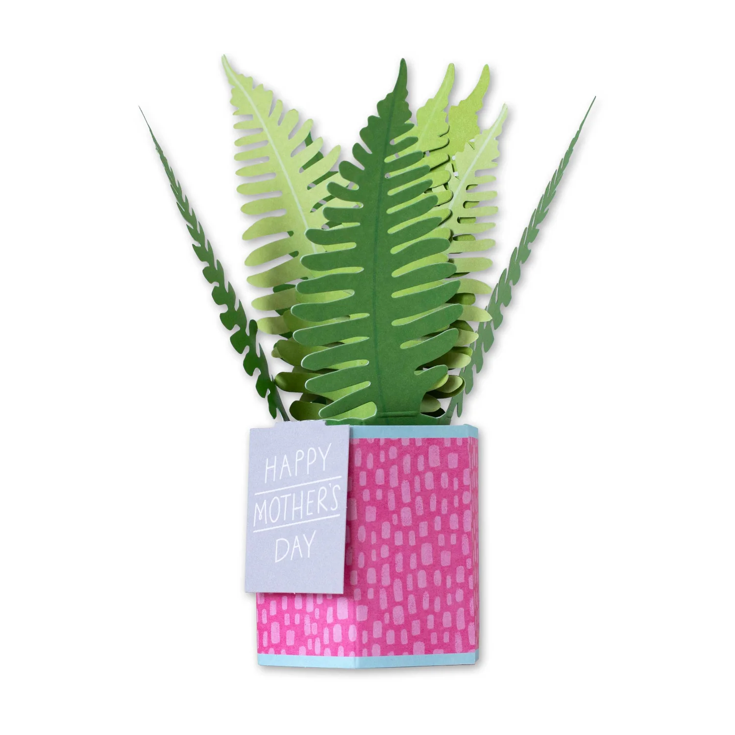 Hallmark Mother's Day Card - Paper Wonder Pop-up Happy Mother's Day - Image 2