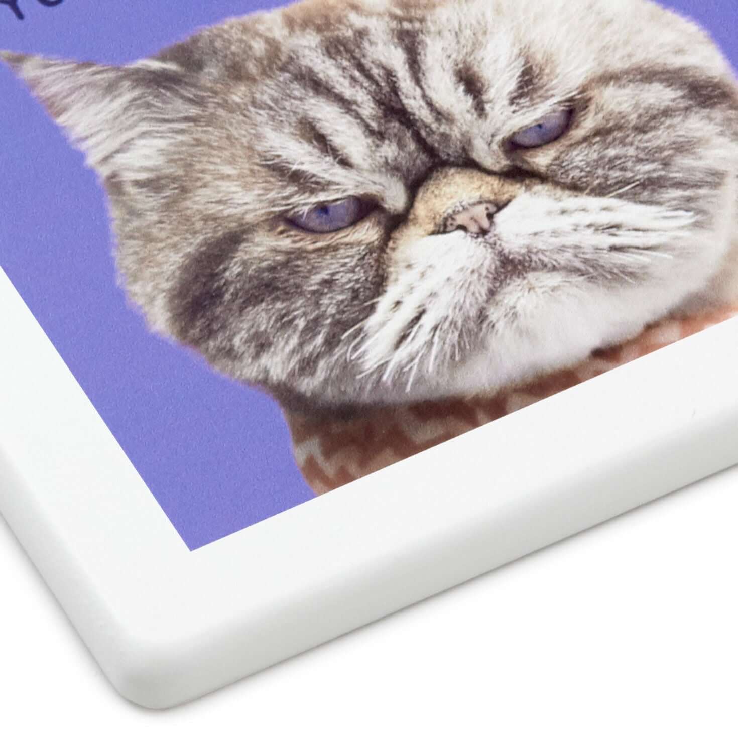 Grumpy Kevin the Cat Photo Funny Coaster - Image 5