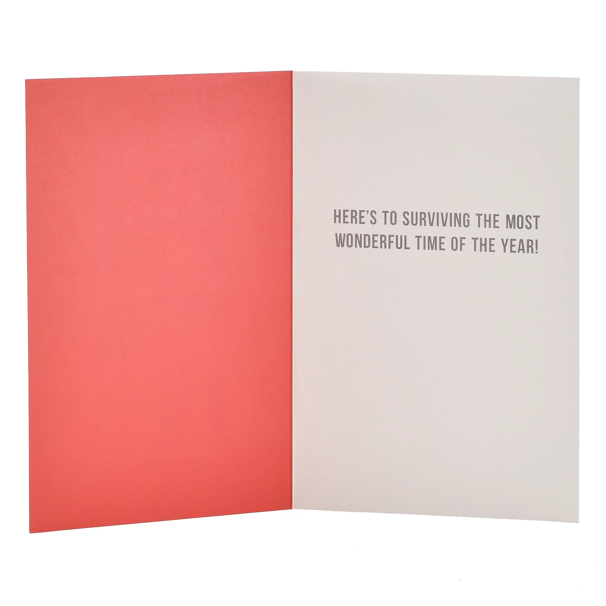 Hallmark Christmas Card  - Before & After Dog - Image 2