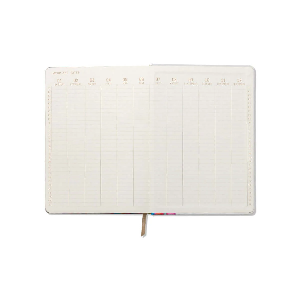 Jumbo Journal-Love is Love - Image 3