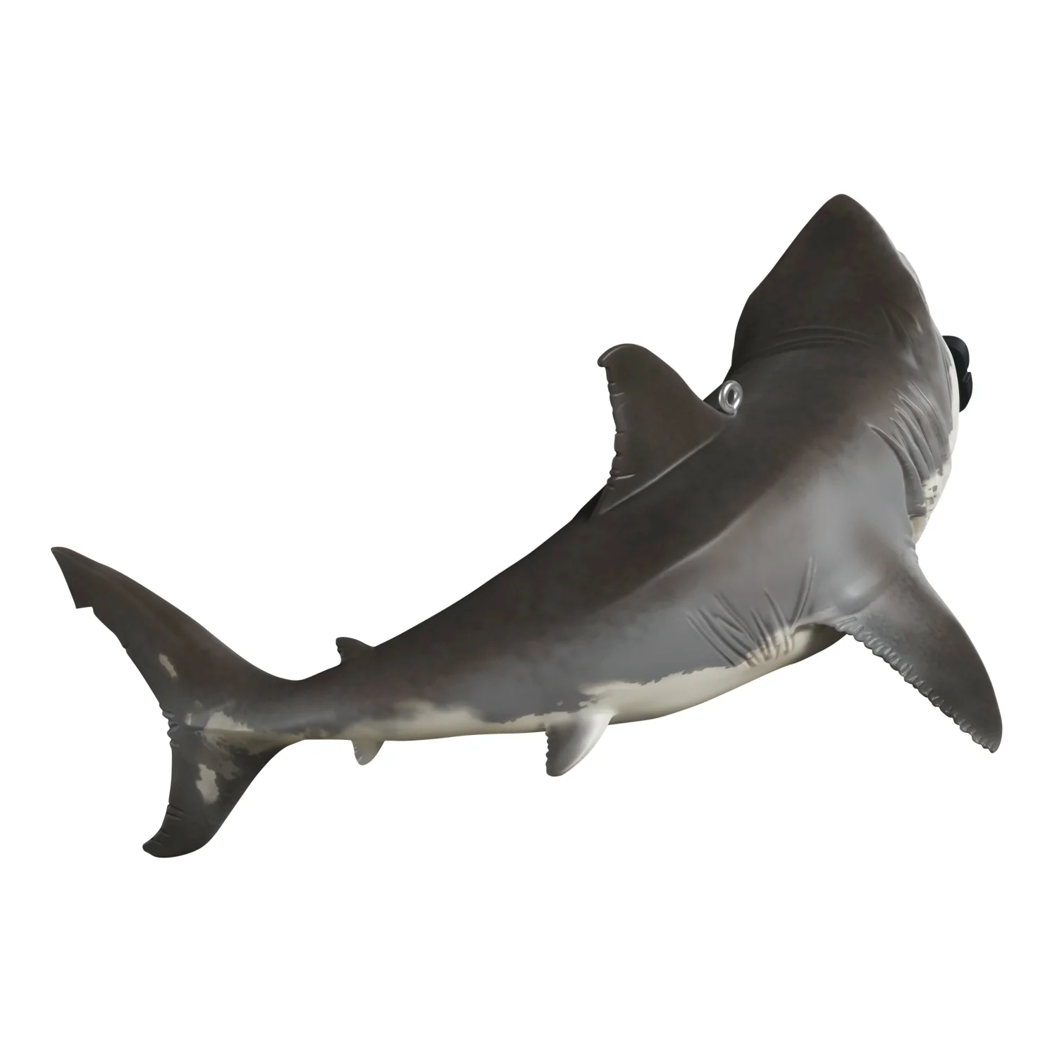 Discovery™ Shark Week™ — 2025 Hallmark Keepsake Christmas Ornament - Image 5