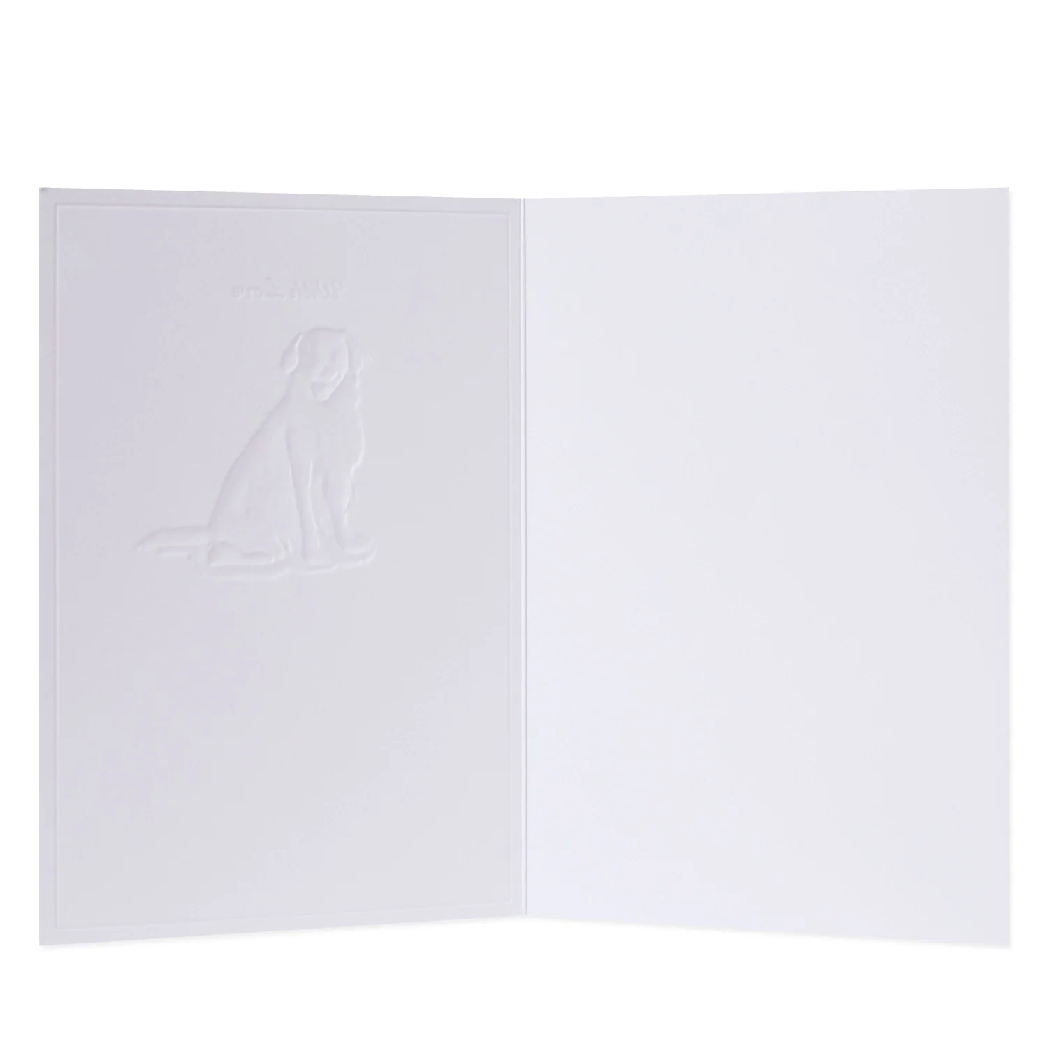 Hallmark Whimsical Whiskers With Love Greeting Card - Golden Retriever Dog - Image 2