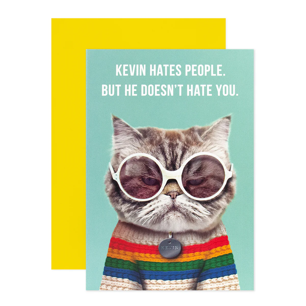 Hallmark Shoebox Greeting Card - Kevin The Cat - Image 3