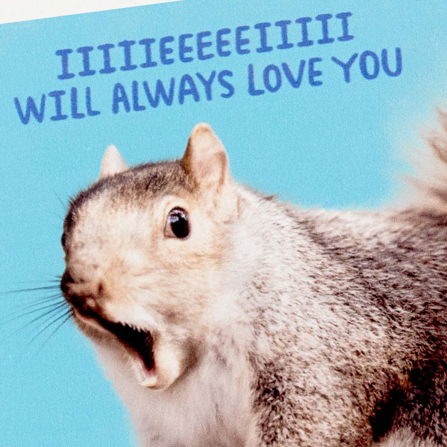 Singing Squirrel Photo Funny Coaster - Image 4
