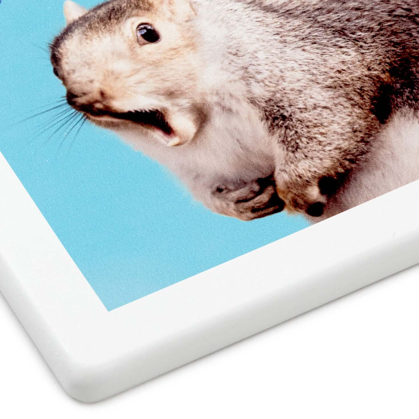 Singing Squirrel Photo Funny Coaster - Image 5